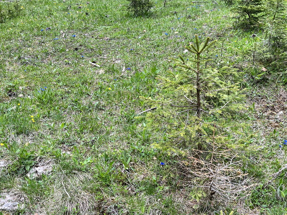 23-05-21 15-05-52 5523